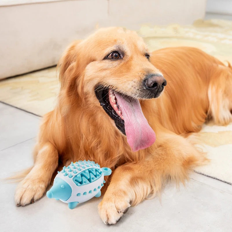 Balle distributrice de friandises pour chien – jeu d’occupation actif