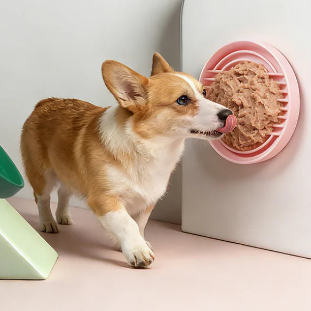 Gamelle anti glouton pour chien – ralentit l’alimentation – bol interactif digestion saine