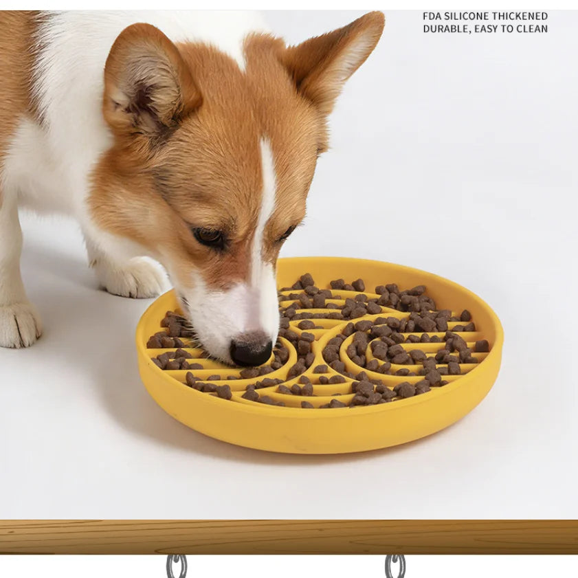 Gamelle anti glouton pour chien – ralentit l’alimentation – bol interactif digestion saine
