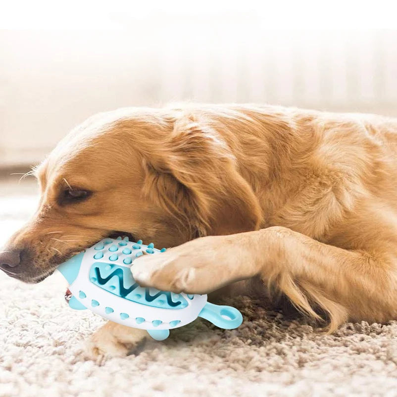 Balle distributrice de friandises pour chien – jeu d’occupation actif
