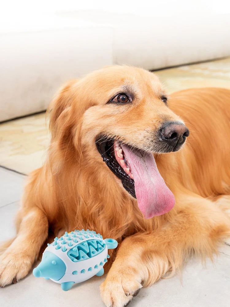 Balle distributrice de friandises pour chien – jeu d’occupation actif