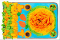 Grand Tapis de Fouille pour Chien – Jardin Sensoriel XXL | Voxyla